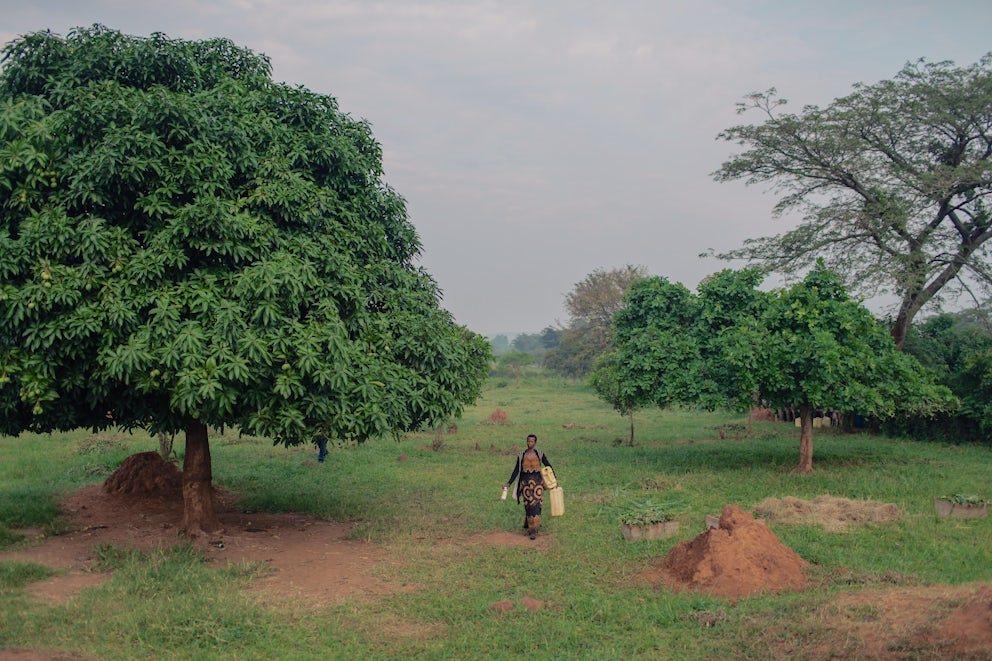 Woman carrying bags near trees