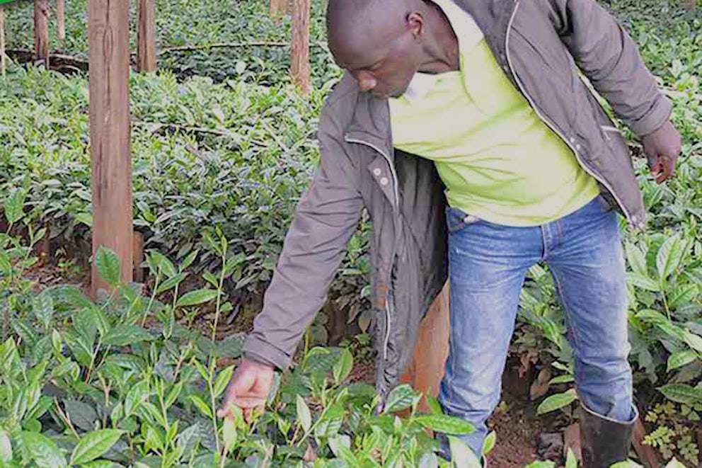 cover of Agriculture Sector Handbook