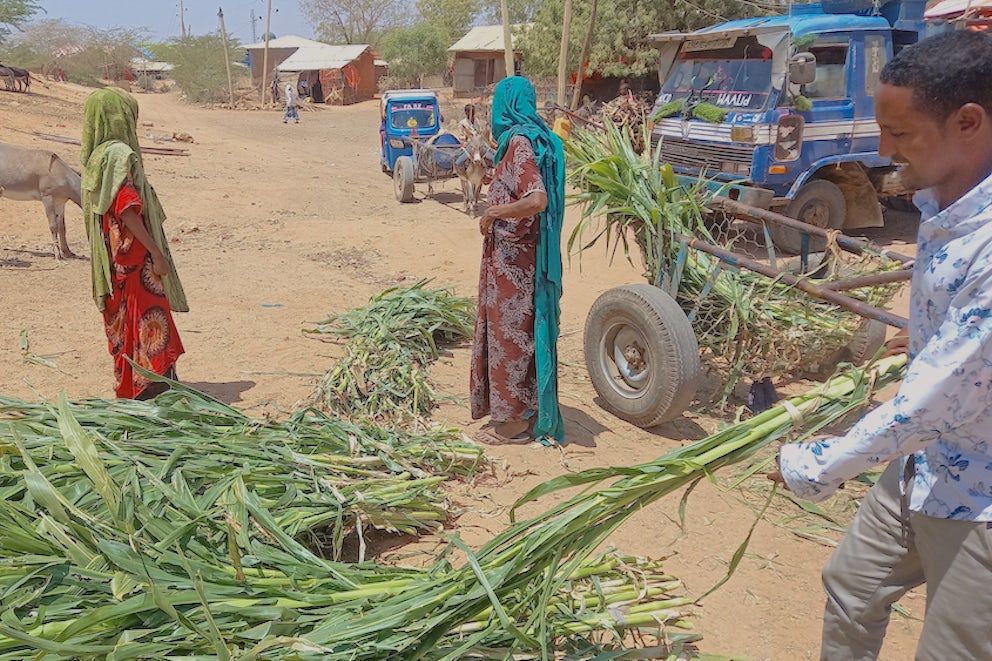 Three people stand at a market in Ethiopia