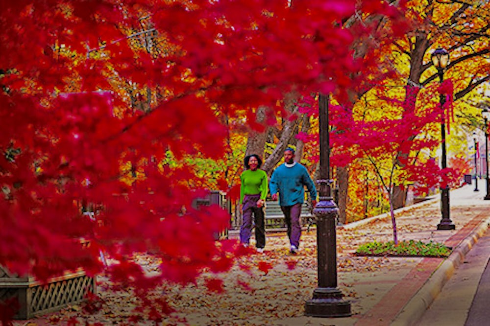 Couple walking through the fall foliage in Little Rock