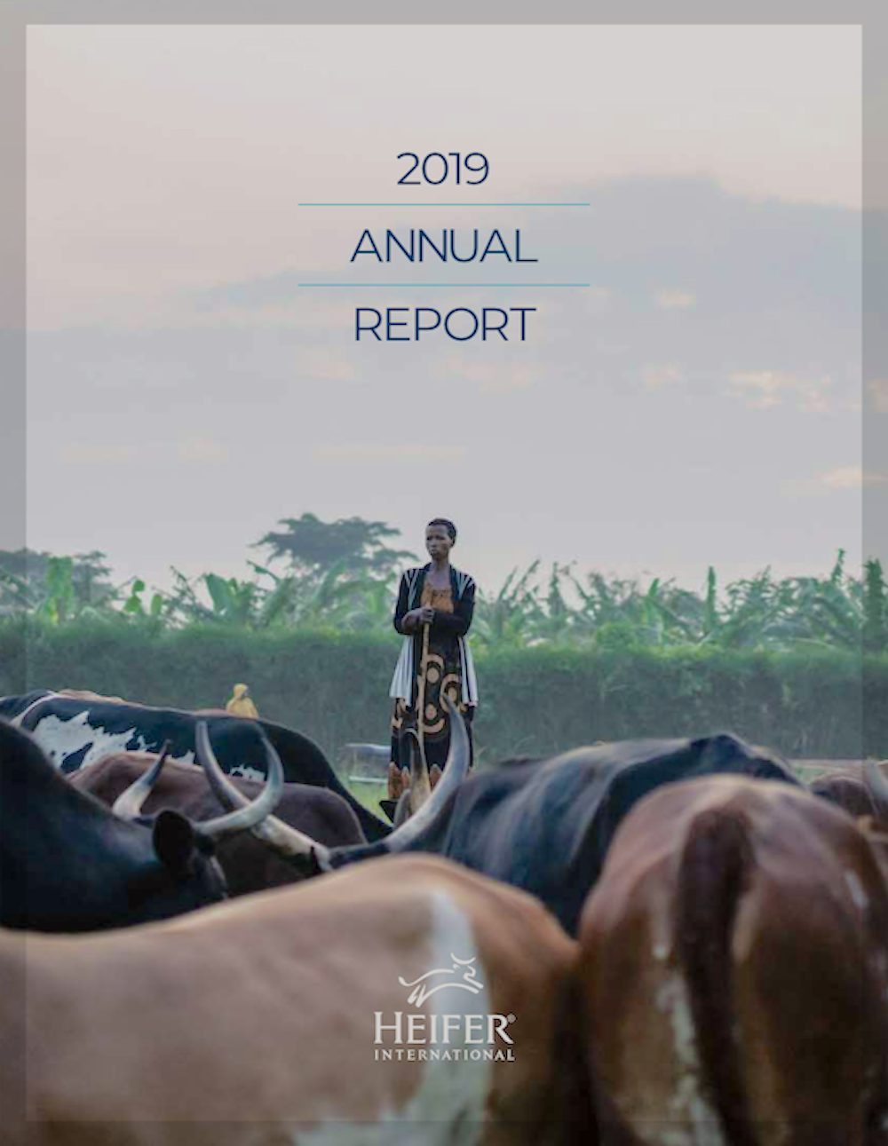 A woman watches over her cattle herd. The top of the photo says, “2019: Annual Report.”