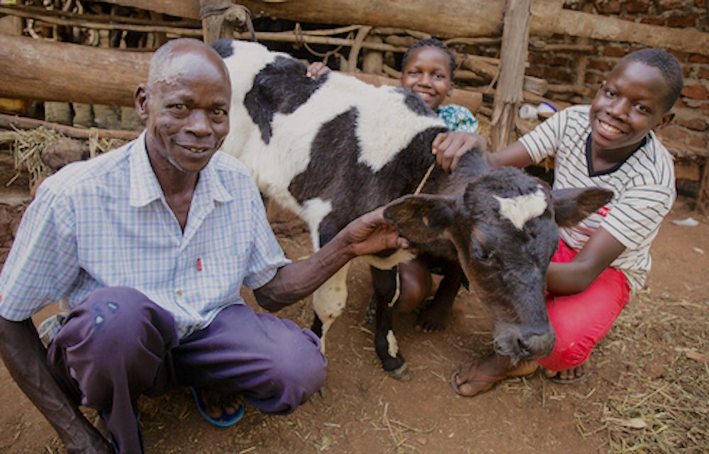 Patrick, his daughter Precious and son Emmy with one of the family’s calves. 