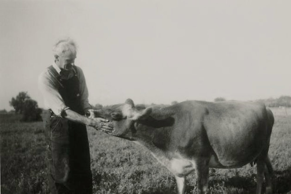 Historical photo of Dan West with a cow.