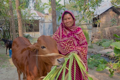 Gift of a Cow | Heifer International
