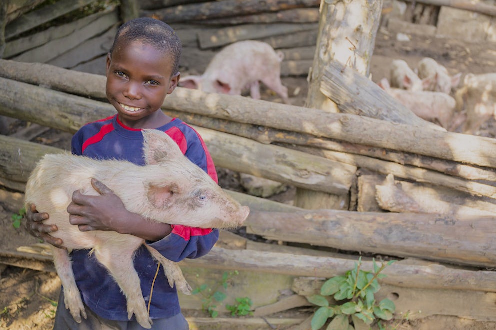 child smiling while holding a young pig