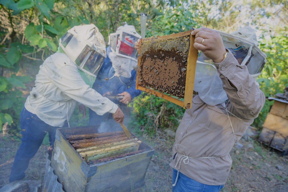 group of beekeepers