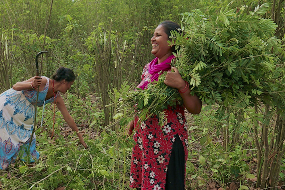 Saving the Planet – One Plant at a Time