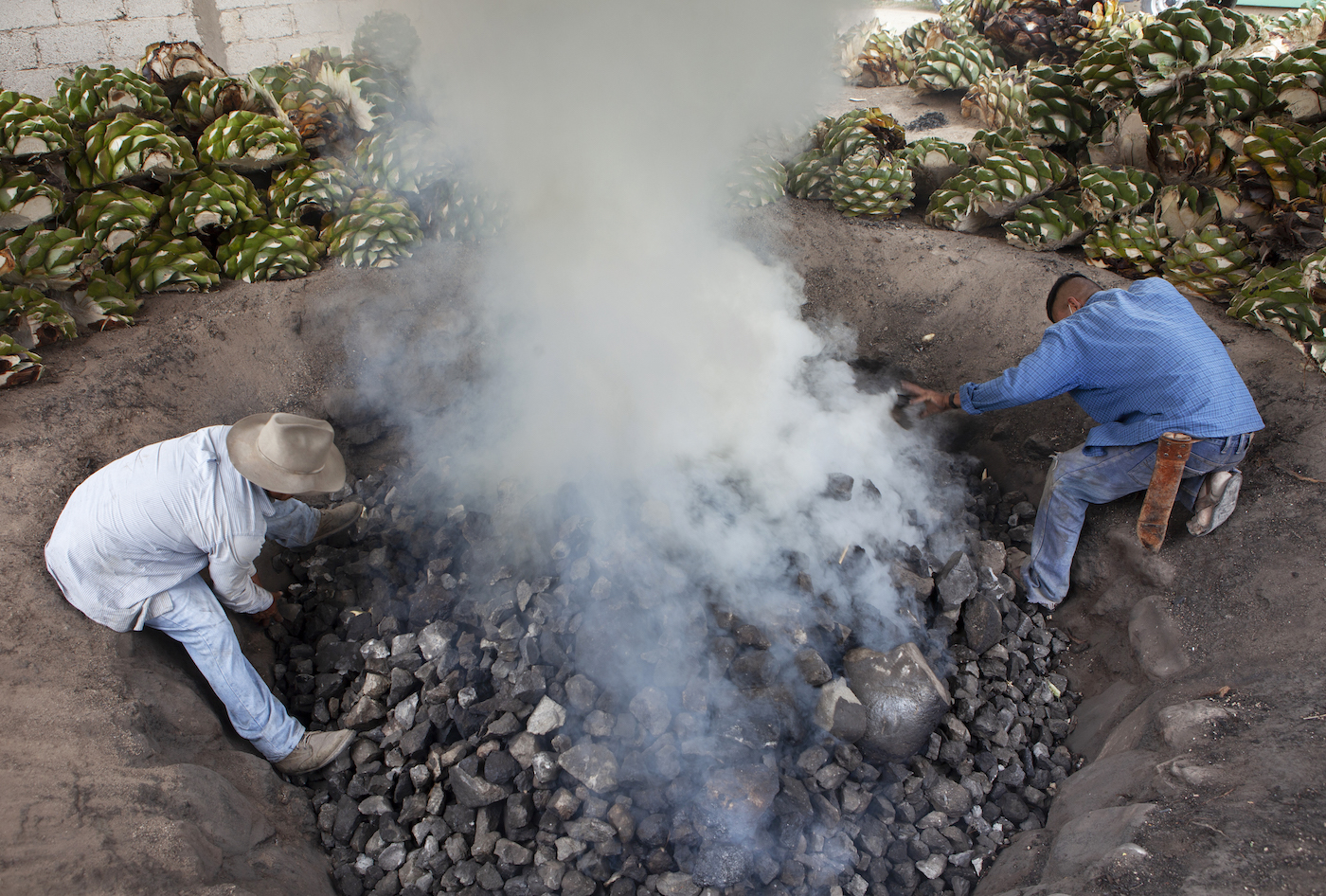 Two people stack rocks into a large fire pit taht will be used to cook the agave.