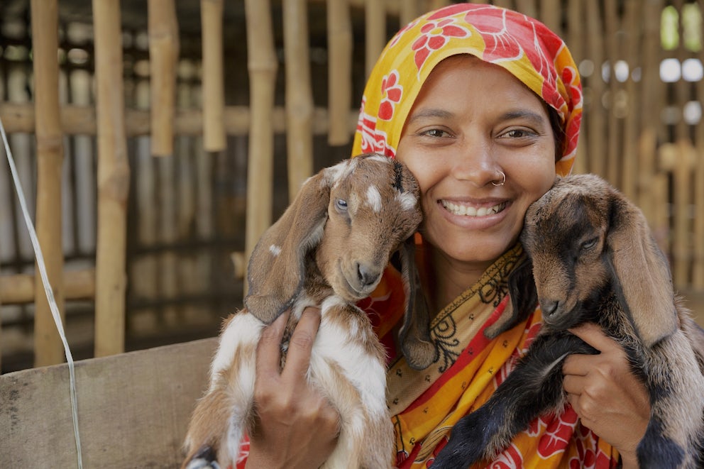 Animals make the best gifts, goats are the best animals and all your holiday shopping problems are solved!