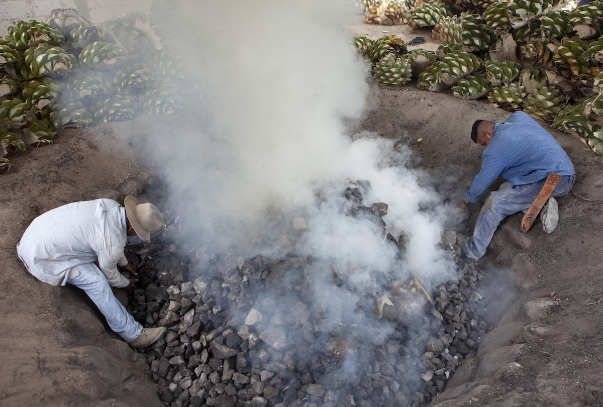 Mexcaleros perpare a pit to cook agave.