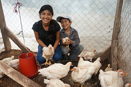 Alba’s children Marta, 13, and Axel, 9, smile as they play with the family’s chickens. 