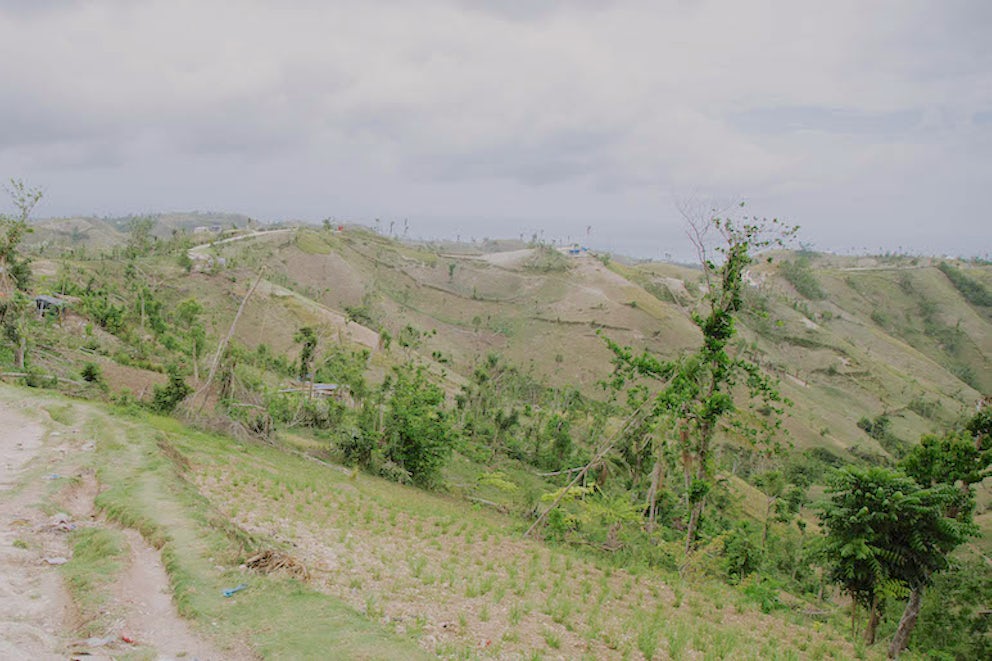 Heifer Haiti Readies for Hurricane Irma