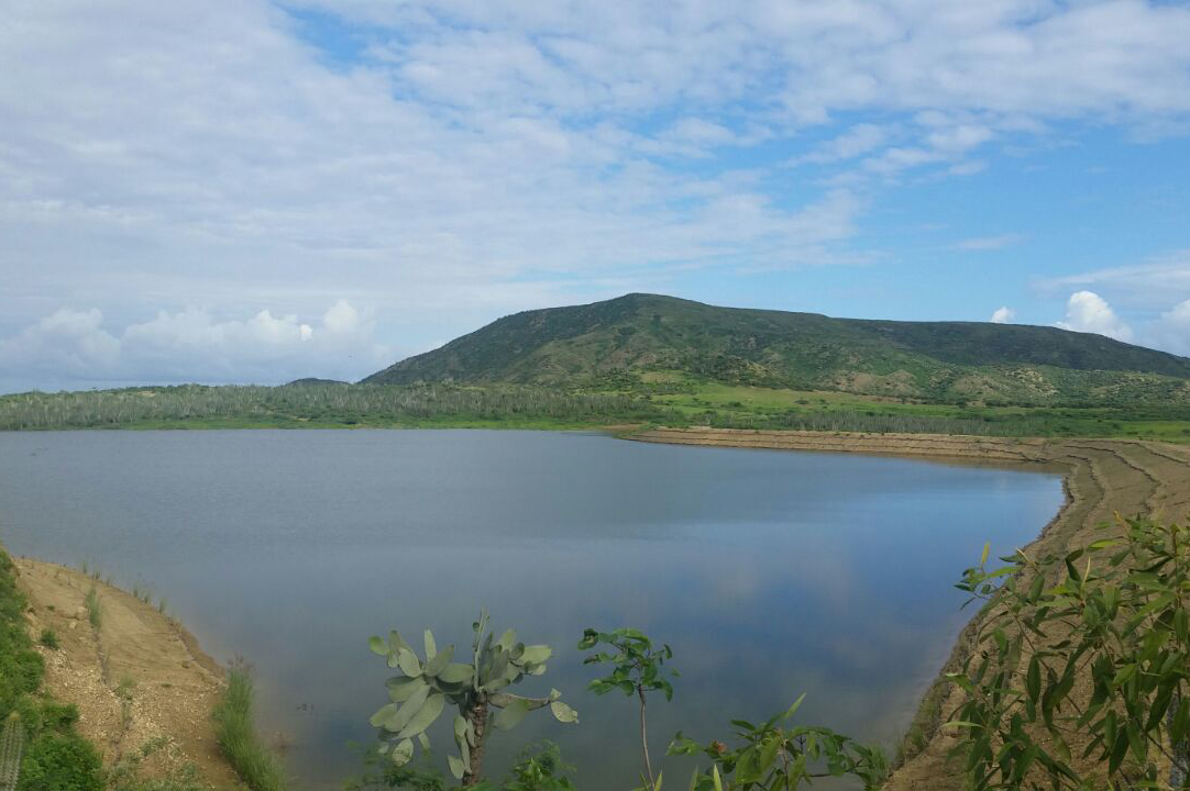 The lake, filled to the brim.