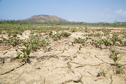 Dry, cracked land where Heifer Haiti and the local community ended up building a lake.