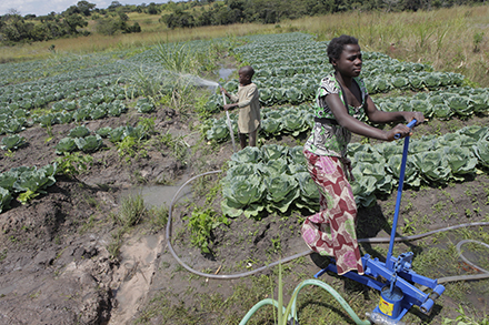 children in Zambia use an innovative irrigation system