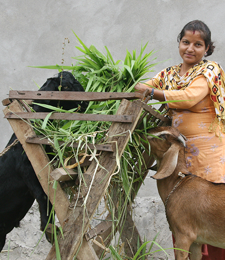 Nepal small farmer