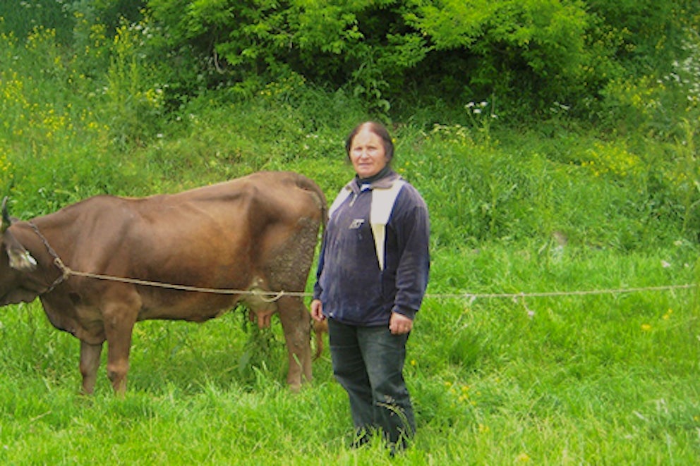 Woman Veterinarian Leads Armenian Community to Success