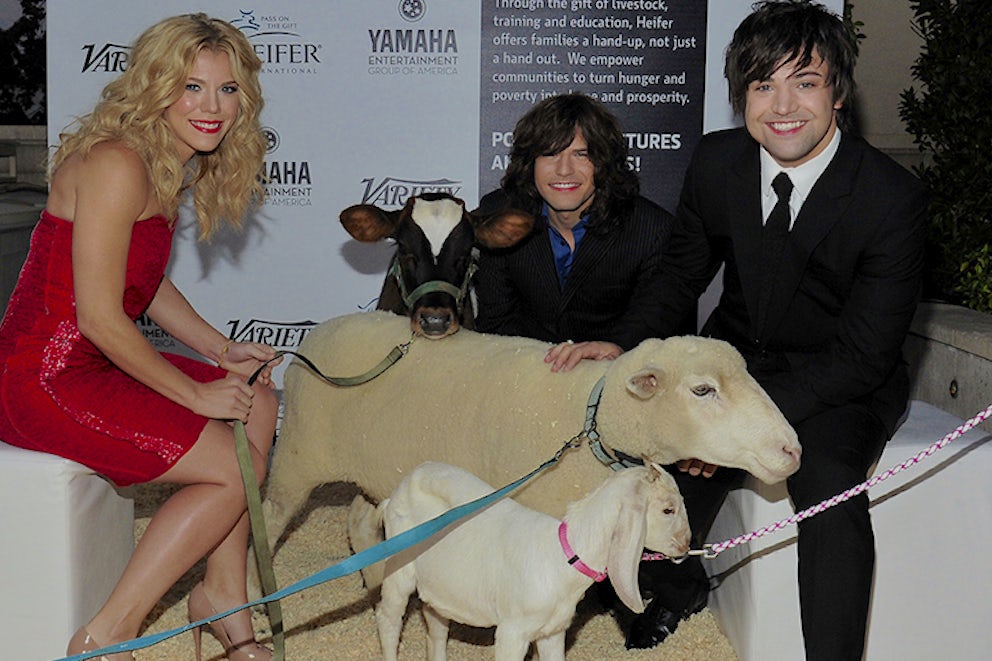 Heifer Goes Hollywood at Beyond Hunger