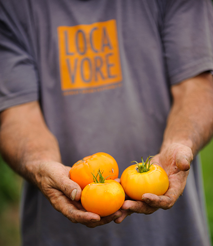 Our sustainable food production system is helping re-ignite the competition among small-scale Arkansas farmers and strengthen our community by connecting you to the land and local farmers.