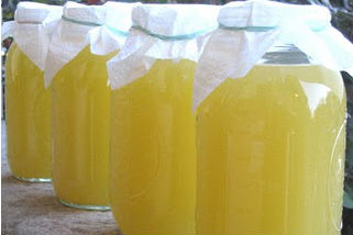 Jars of yellow dandelion wine.