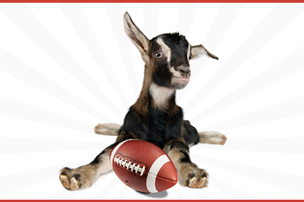 baby goat with football