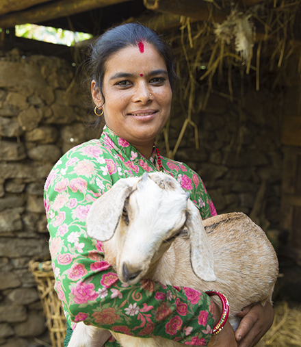 Mithu received a goat from the project and immediately began making a profit.