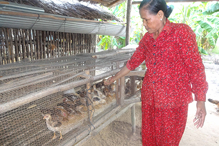 Ton Phat successfully raises and sells chickens on her farm.