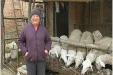 Liang Yunah with her sheep before they were stolen.