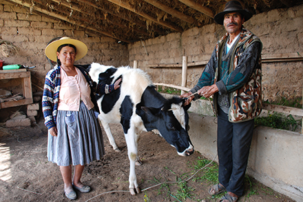 Leónidas and Bertha in their new animal shed.