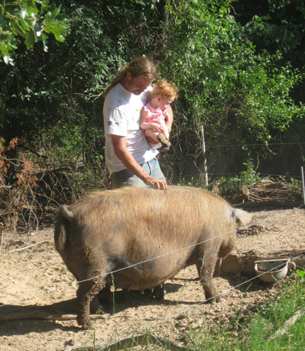 Heifer farmer and entrepreneur, Jeremy Prater, tends his hogs.