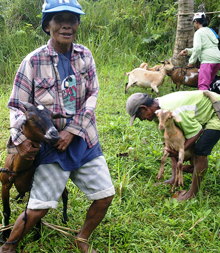 Nanay Rosa loves her sweet goat Lito so much. Caring for these wonderful goats is a family affair.