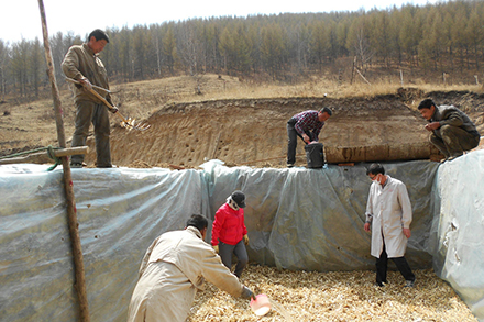 Villagers in the Yangebo Township work on making fodder for their goats.