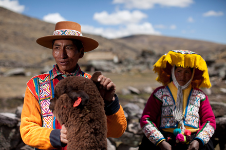Alpaca farmers in Peru