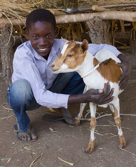 Boy sits with goat.