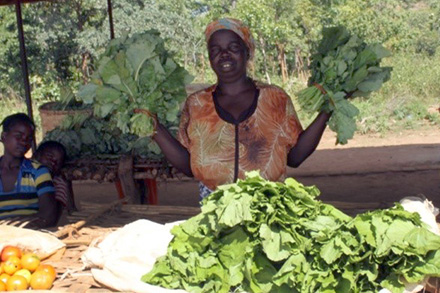 Racheal sells her vegetables at the market for additional income.