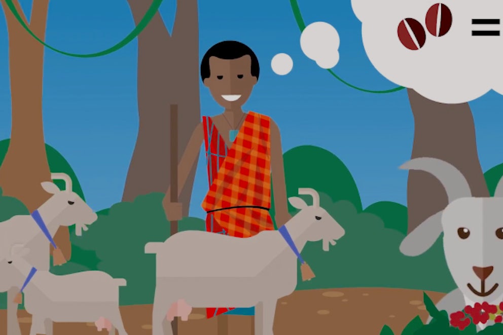 Watch: Amazing Facts about Goats
