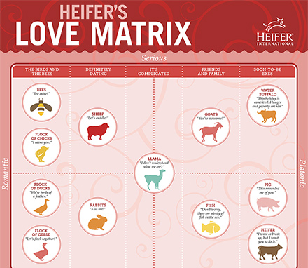 Heifer's love matrix