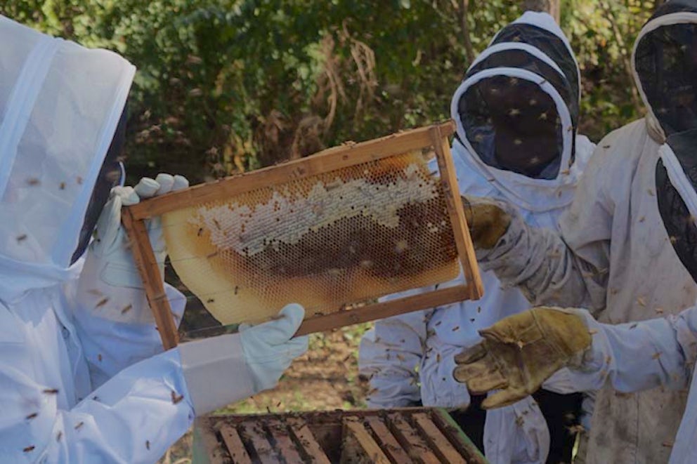 The Sweet Taste of Success in Northern Nicaragua