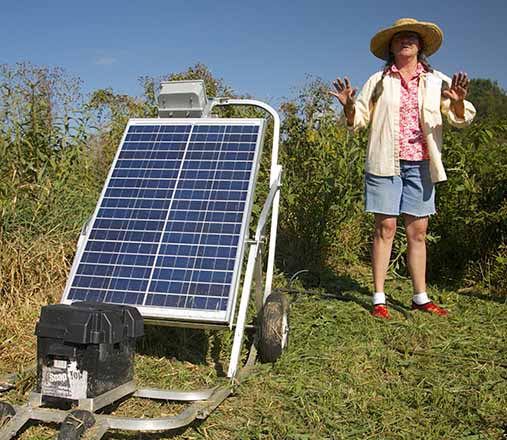 Solar panel North Carolina