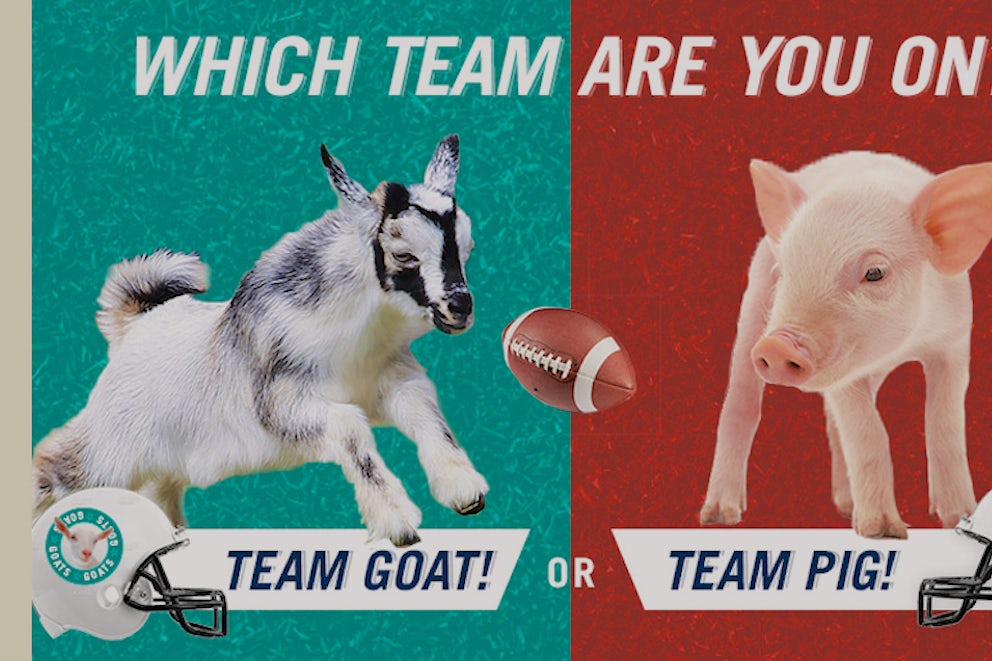 Cast your Vote for Heifer Bowl 2015!