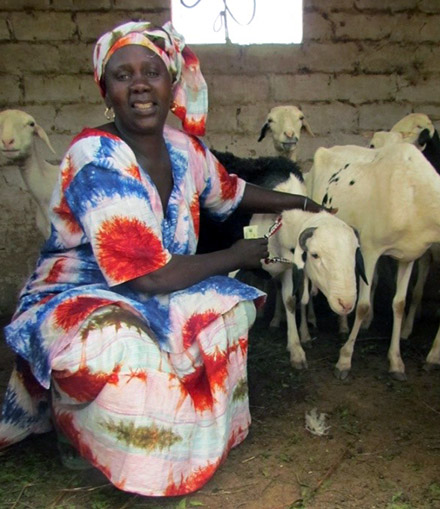 Gagnessiri sits in her barn with her sheep. The money she has earned from sheep farmer has empowered her entrepreneurial spirit.