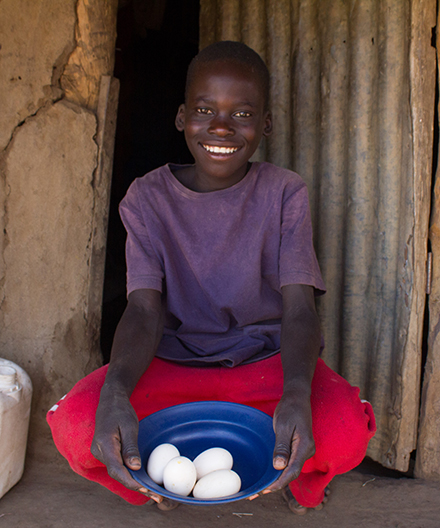Boy shows the eggs from his family's chickens.