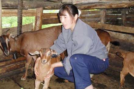 Wu Kaihui takes excellent care of her goats.