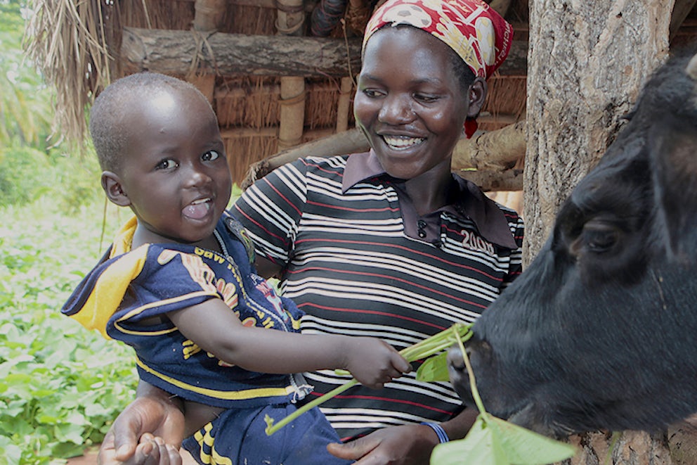 Study Shows Livestock and Training Has Lasting Effect on Poverty Eradication