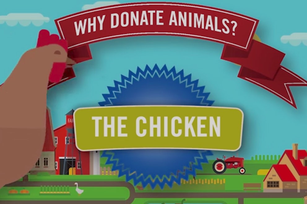 Why Donate Animals: How Chickens Help People in Poverty
