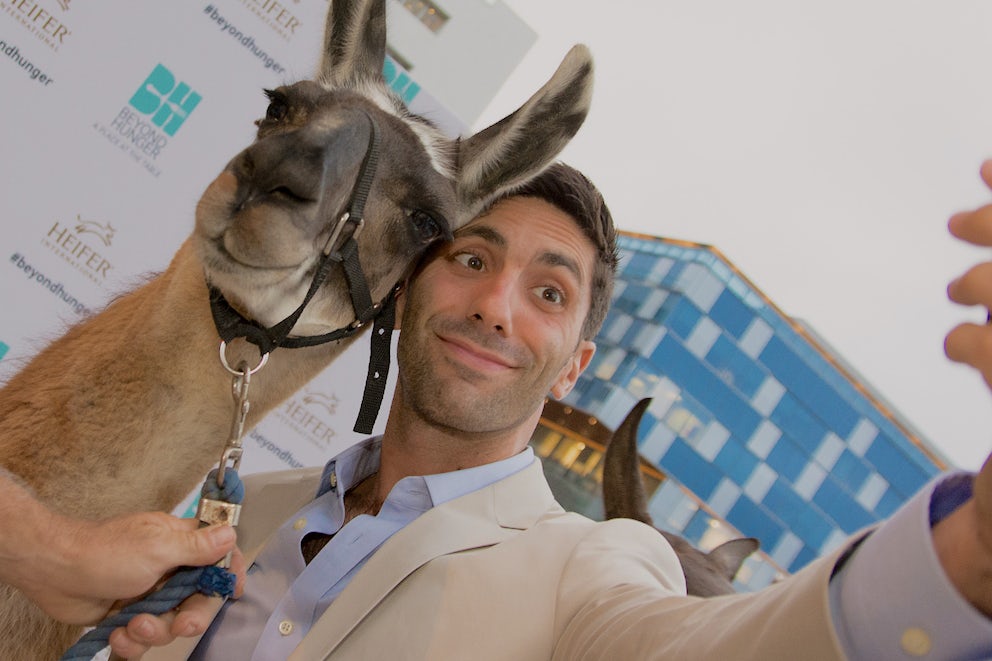 How to Get Ready for the Green Carpet: Llama Edition