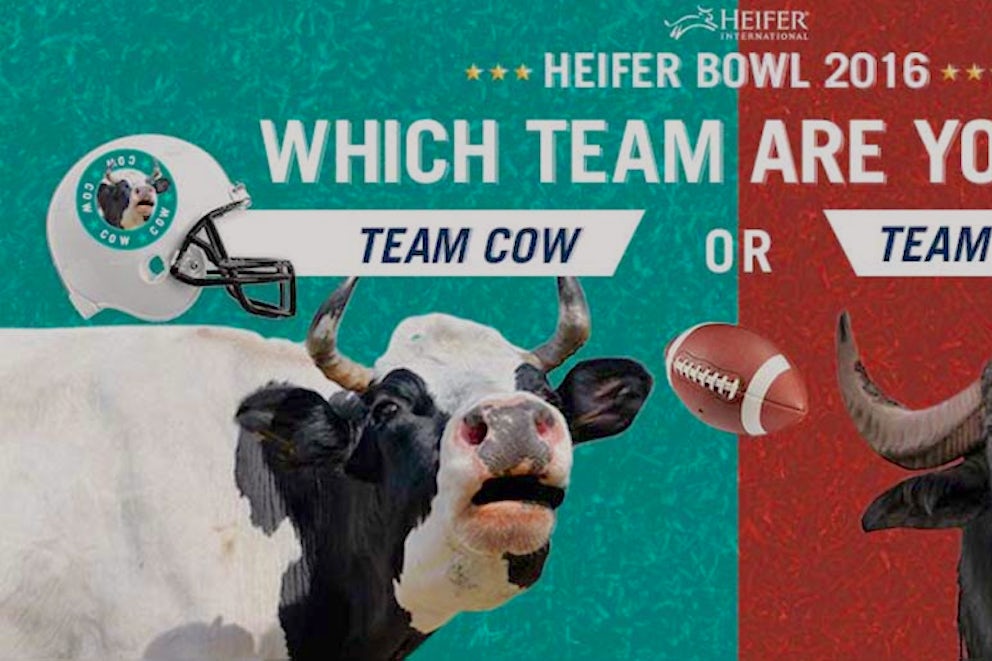 Cast Your Vote for Heifer Bowl 2016