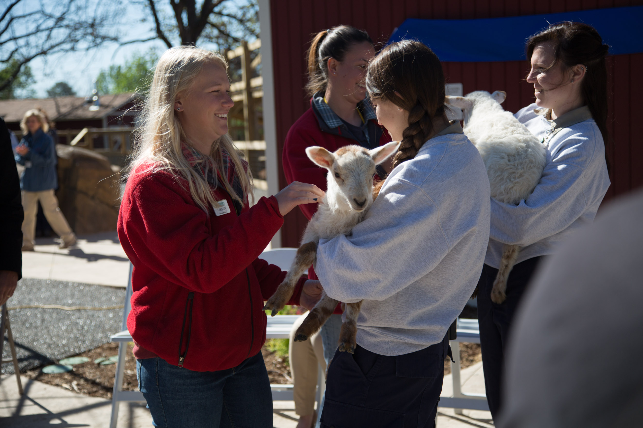 Heifer Ranch caretakers Pass on the Gift of lambs to the Little Rock Zoo.