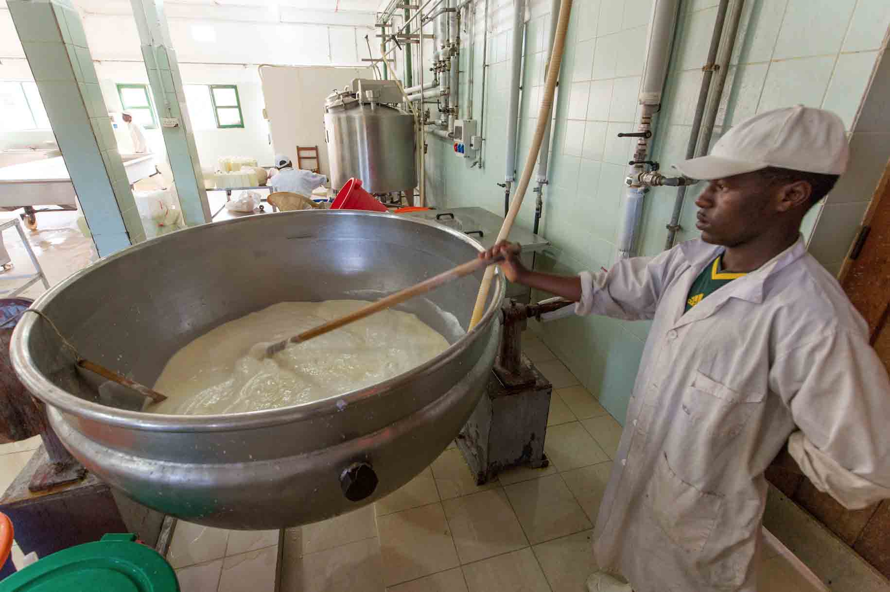 The East Africa Youth Inclusion Program is a groundbreaking initiative that builds on the success of our East Africa Dairy Development (EADD) program (shown here). EADD is one of the leading market-oriented development initiatives in East Africa.