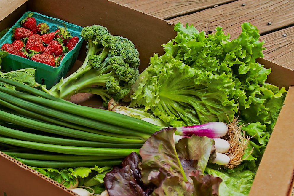 Support Arkansas Farmers on National CSA Sign-Up Day